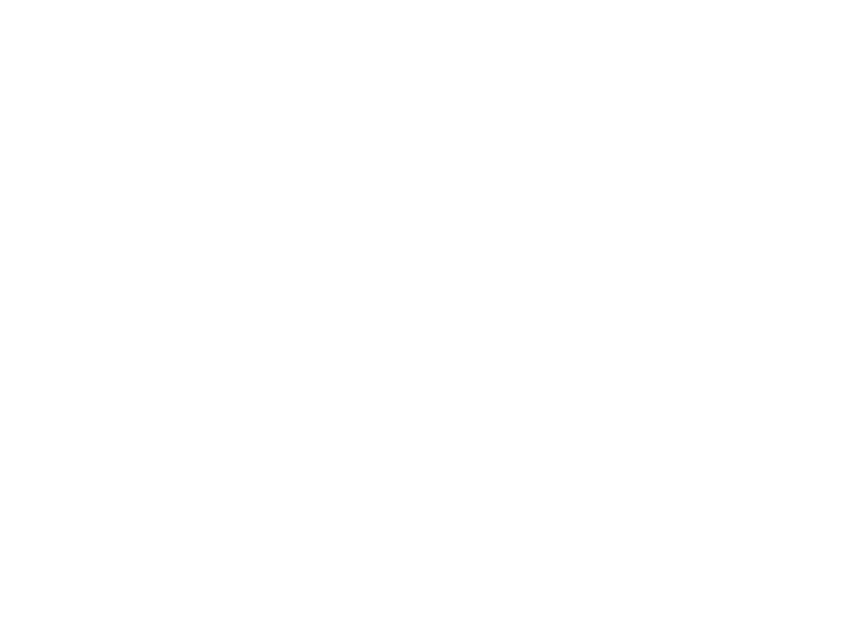P3R